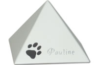 gs 08-01-pauline